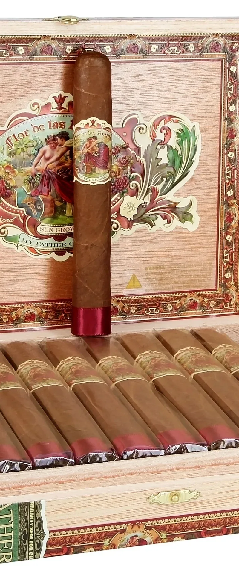My father Flor De Las Antillas Toro
